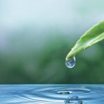 स्वर्ण युग