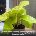 The Power of Your Circle: How the Right People Shape Success